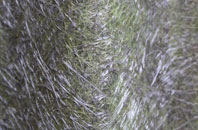 Winchcombe fibreglass roof work